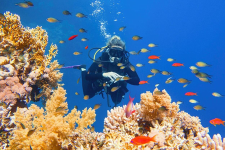 Sharm-El-Sheikh Day Tours