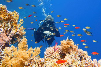 Cairo, Nile Cruise and Sharm El Sheikh Holiday