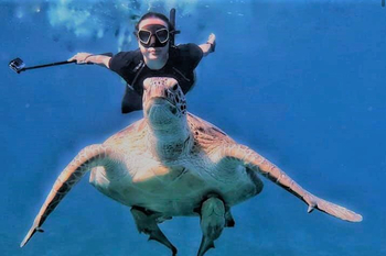 Egypt Nile Cruise & Marsa Alam Escape – Wonders & Reefs